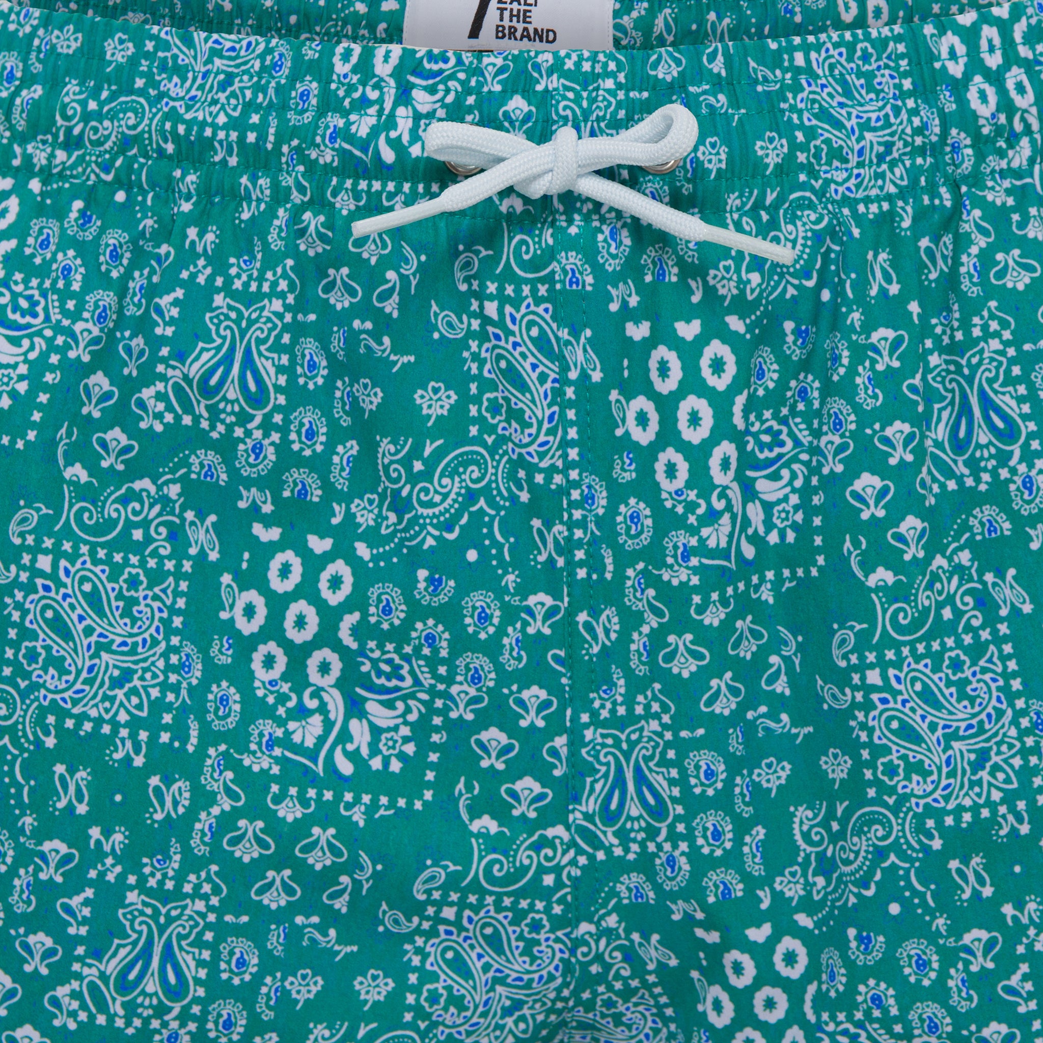 JORDAN BANDANA SWIMSHORTS GREEN