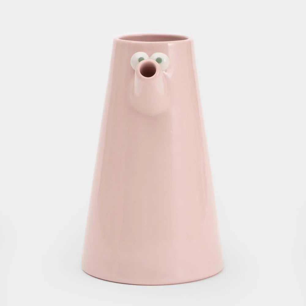 LUCAS ZANOTTO - THE PINK JUG