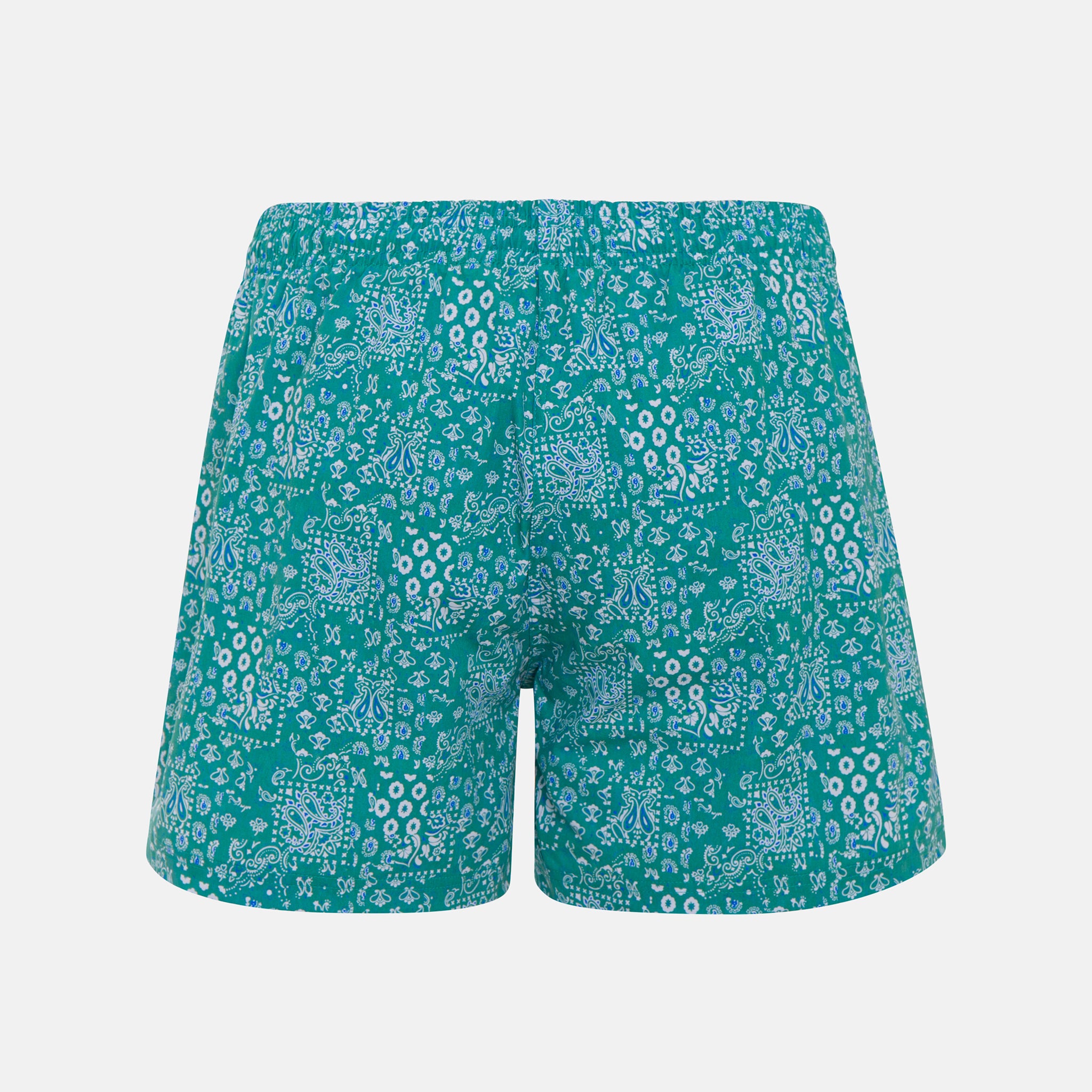 JORDAN BANDANA SWIMSHORTS GREEN